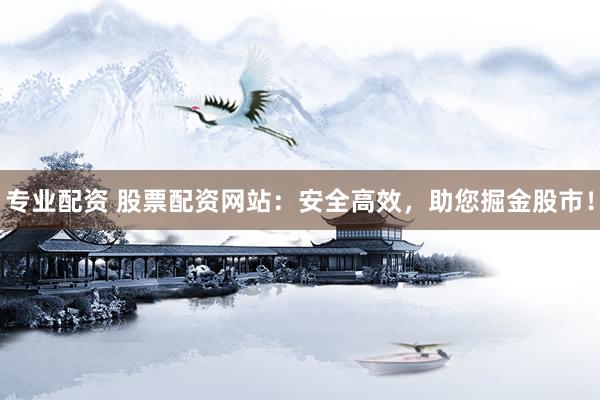专业配资 股票配资网站：安全高效，助您掘金股市！