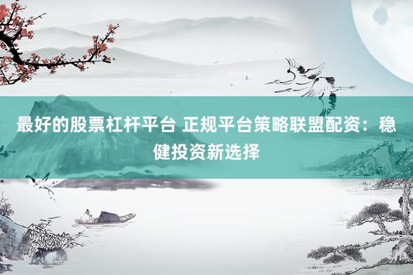 最好的股票杠杆平台 正规平台策略联盟配资：稳健投资新选择