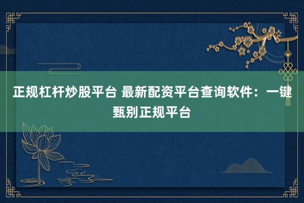 正规杠杆炒股平台 最新配资平台查询软件：一键甄别正规平台