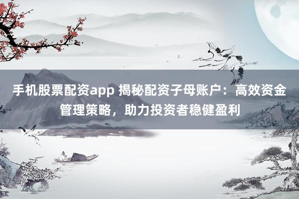 手机股票配资app 揭秘配资子母账户：高效资金管理策略，助力投资者稳健盈利