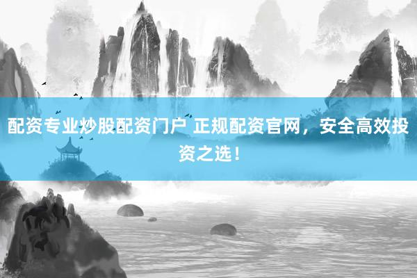 配资专业炒股配资门户 正规配资官网，安全高效投资之选！
