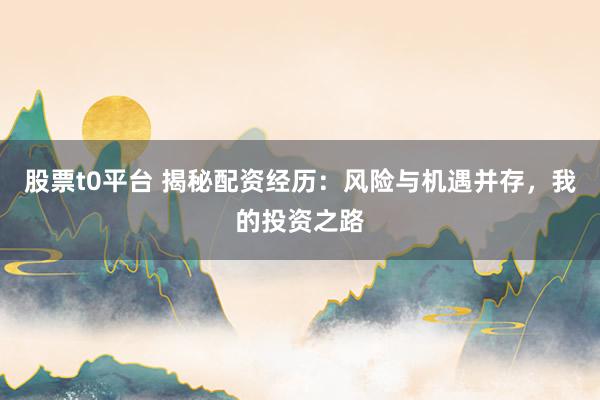 股票t0平台 揭秘配资经历：风险与机遇并存，我的投资之路