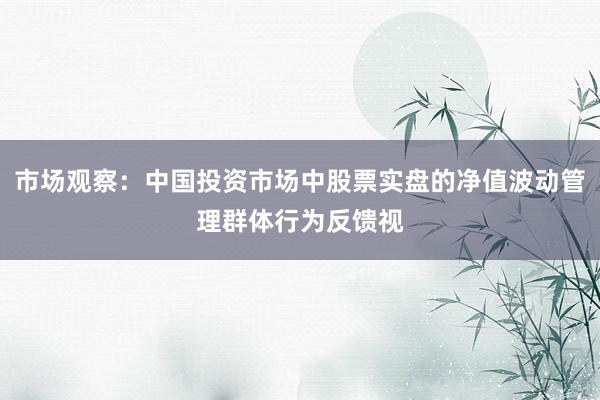 市场观察：中国投资市场中股票实盘的净值波动管理群体行为反馈视