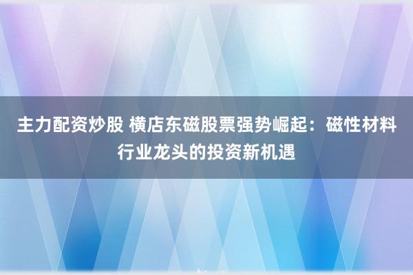 主力配资炒股 横店东磁股票强势崛起：磁性材料行业龙头的投资新机遇